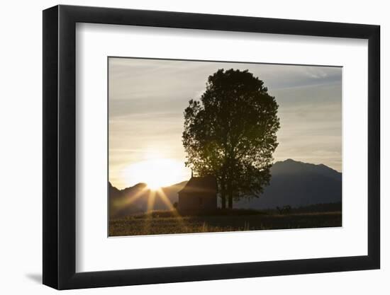 Sunrise in the Churer Rhine Valley-Armin Mathis-Framed Photographic Print