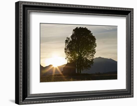 Sunrise in the Churer Rhine Valley-Armin Mathis-Framed Photographic Print