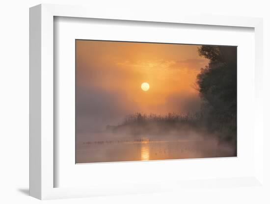 Sunrise in the Danube Meadows, Austria-Rainer Mirau-Framed Photographic Print