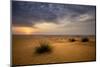 Sunrise in the desert. Abu Dhabi, UAE.-Tom Norring-Mounted Photographic Print