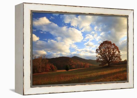 Sunrise in the Fall, Cades Cove, Smoky Mountains NP, Tennessee, USA-Joanne Wells-Framed Premier Image Canvas