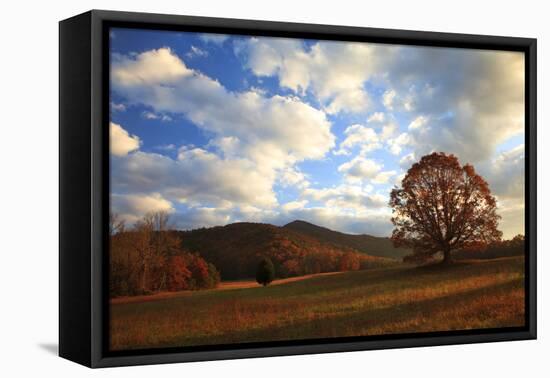 Sunrise in the Fall, Cades Cove, Smoky Mountains NP, Tennessee, USA-Joanne Wells-Framed Premier Image Canvas