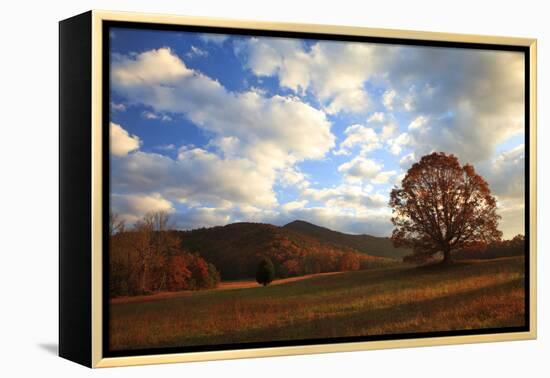 Sunrise in the Fall, Cades Cove, Smoky Mountains NP, Tennessee, USA-Joanne Wells-Framed Premier Image Canvas