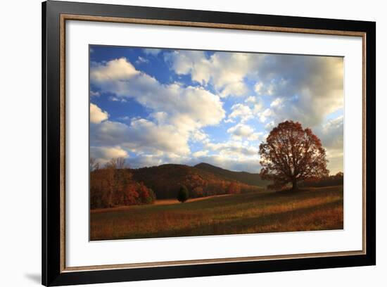 Sunrise in the Fall, Cades Cove, Smoky Mountains NP, Tennessee, USA-Joanne Wells-Framed Photographic Print