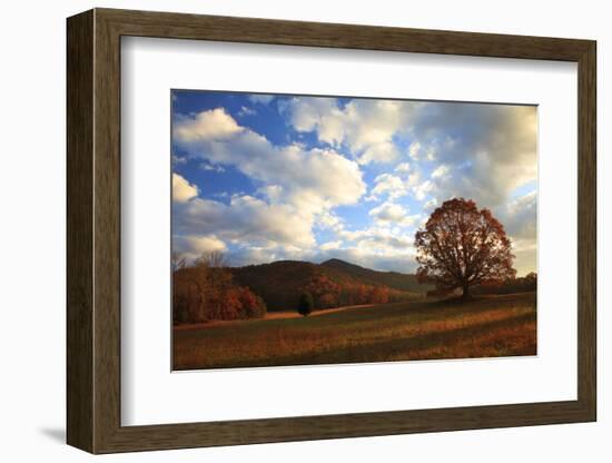 Sunrise in the Fall, Cades Cove, Smoky Mountains NP, Tennessee, USA-Joanne Wells-Framed Premium Photographic Print