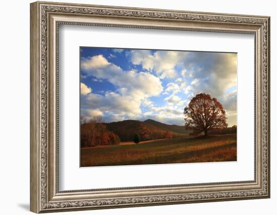 Sunrise in the Fall, Cades Cove, Smoky Mountains NP, Tennessee, USA-Joanne Wells-Framed Photographic Print