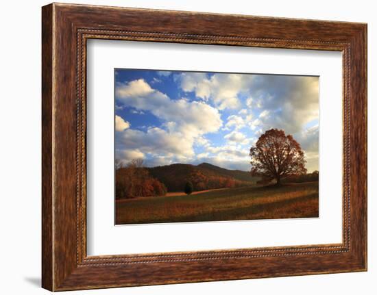 Sunrise in the Fall, Cades Cove, Smoky Mountains NP, Tennessee, USA-Joanne Wells-Framed Photographic Print