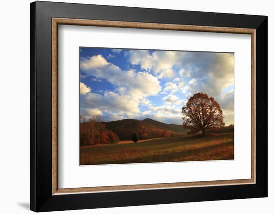 Sunrise in the Fall, Cades Cove, Smoky Mountains NP, Tennessee, USA-Joanne Wells-Framed Photographic Print