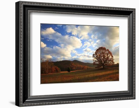 Sunrise in the Fall, Cades Cove, Smoky Mountains NP, Tennessee, USA-Joanne Wells-Framed Photographic Print