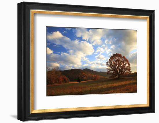 Sunrise in the Fall, Cades Cove, Smoky Mountains NP, Tennessee, USA-Joanne Wells-Framed Photographic Print