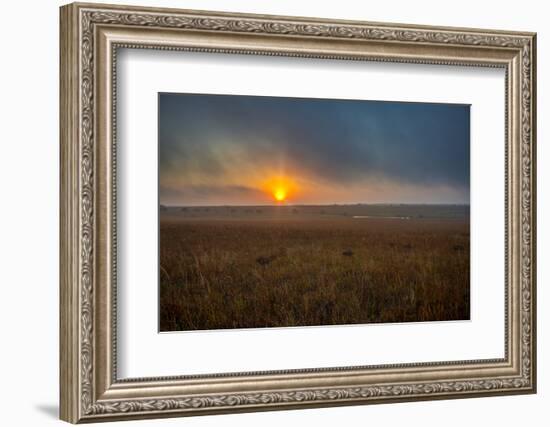 Sunrise in the Flint Hills of Kansas-Michael Scheufler-Framed Photographic Print