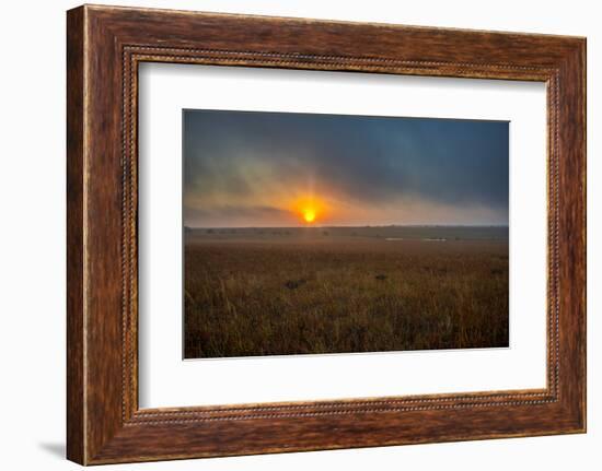 Sunrise in the Flint Hills of Kansas-Michael Scheufler-Framed Photographic Print