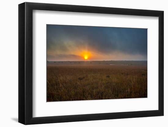 Sunrise in the Flint Hills of Kansas-Michael Scheufler-Framed Photographic Print