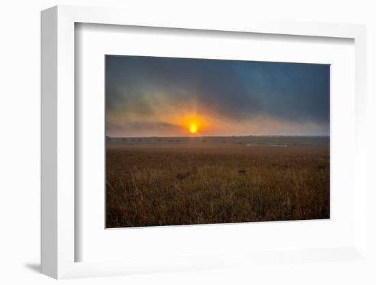 Sunrise in the Flint Hills of Kansas-Michael Scheufler-Framed Photographic Print