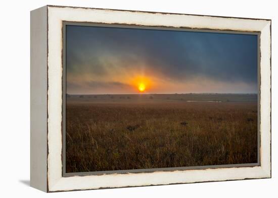 Sunrise in the Flint Hills of Kansas-Michael Scheufler-Framed Premier Image Canvas