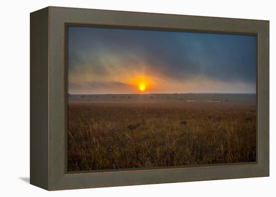 Sunrise in the Flint Hills of Kansas-Michael Scheufler-Framed Premier Image Canvas