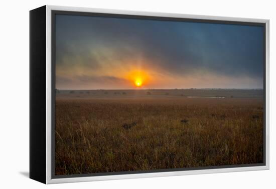 Sunrise in the Flint Hills of Kansas-Michael Scheufler-Framed Premier Image Canvas