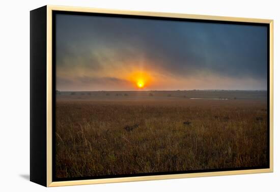 Sunrise in the Flint Hills of Kansas-Michael Scheufler-Framed Premier Image Canvas