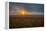 Sunrise in the Flint Hills of Kansas-Michael Scheufler-Framed Premier Image Canvas