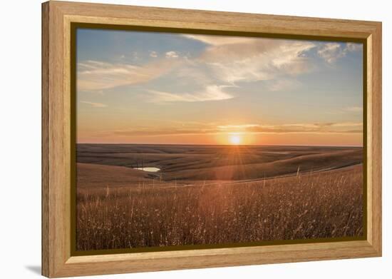 Sunrise in the Kansas Flint Hills-Michael Scheufler-Framed Premier Image Canvas