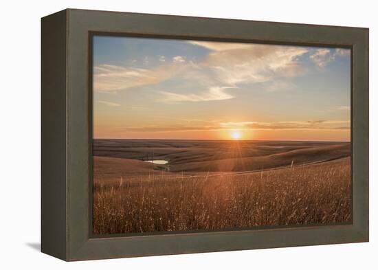 Sunrise in the Kansas Flint Hills-Michael Scheufler-Framed Premier Image Canvas