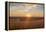 Sunrise in the Kansas Flint Hills-Michael Scheufler-Framed Premier Image Canvas