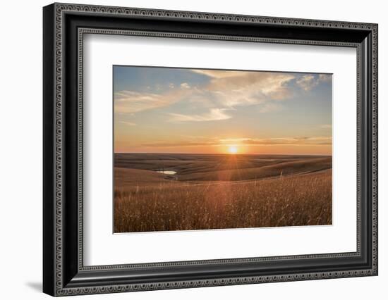 Sunrise in the Kansas Flint Hills-Michael Scheufler-Framed Photographic Print