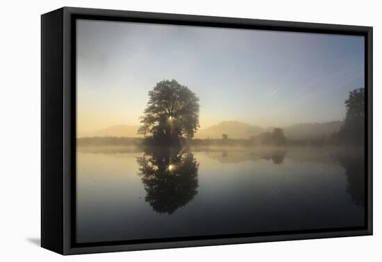 Sunrise in the Naab, Germany, Bavaria, Upper Palatinate, Kallmunz-Volker Preusser-Framed Premier Image Canvas