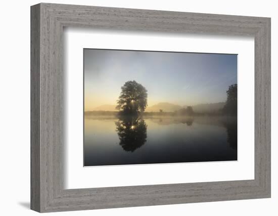 Sunrise in the Naab, Germany, Bavaria, Upper Palatinate, Kallmunz-Volker Preusser-Framed Photographic Print