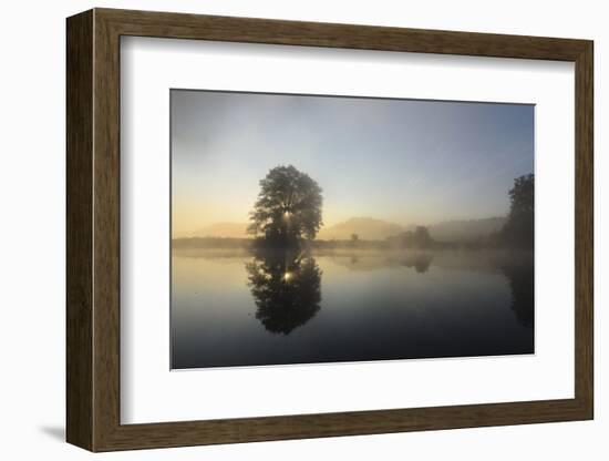 Sunrise in the Naab, Germany, Bavaria, Upper Palatinate, Kallmunz-Volker Preusser-Framed Photographic Print