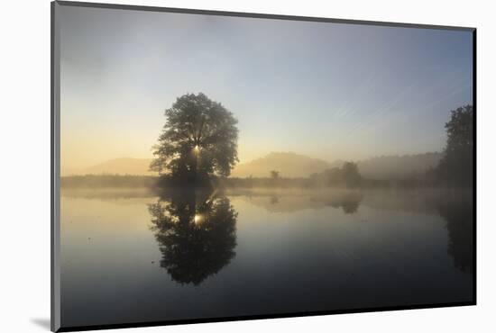 Sunrise in the Naab, Germany, Bavaria, Upper Palatinate, Kallmunz-Volker Preusser-Mounted Photographic Print