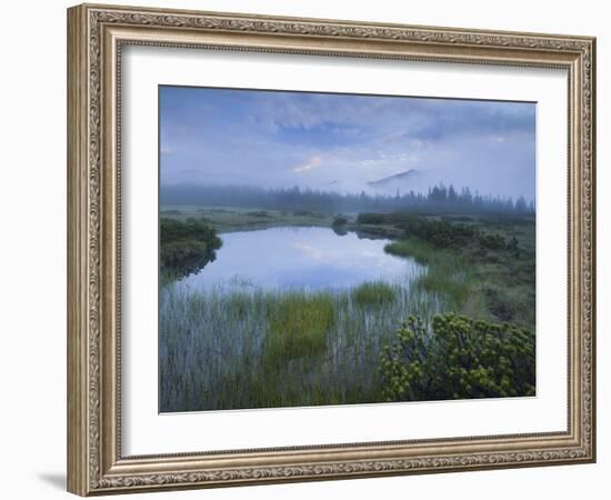 Sunrise in the Nature Reserve Siebenmšser, KitzbŸhel Alps, Moor, Hochkrimml, Gerlosplatte-Rainer Mirau-Framed Photographic Print