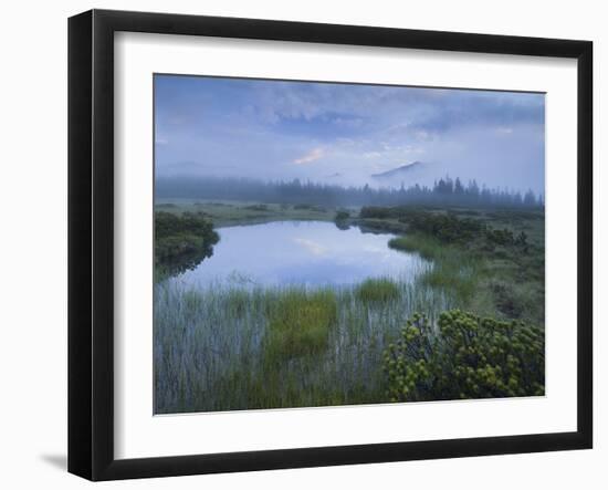 Sunrise in the Nature Reserve Siebenmšser, KitzbŸhel Alps, Moor, Hochkrimml, Gerlosplatte-Rainer Mirau-Framed Photographic Print