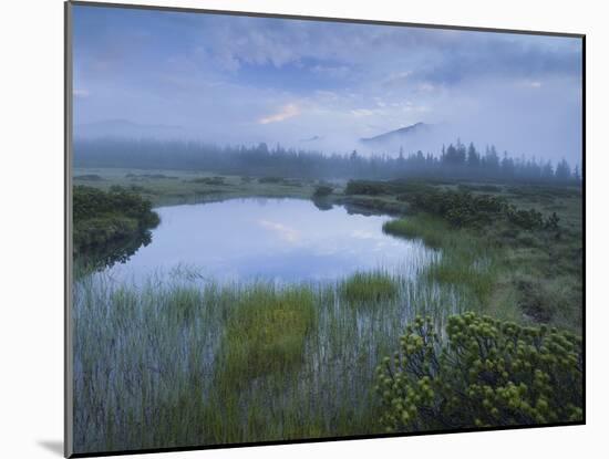 Sunrise in the Nature Reserve Siebenmšser, KitzbŸhel Alps, Moor, Hochkrimml, Gerlosplatte-Rainer Mirau-Mounted Photographic Print