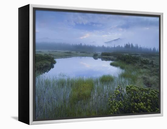 Sunrise in the Nature Reserve Siebenmšser, KitzbŸhel Alps, Moor, Hochkrimml, Gerlosplatte-Rainer Mirau-Framed Premier Image Canvas