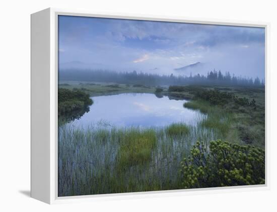 Sunrise in the Nature Reserve Siebenmšser, KitzbŸhel Alps, Moor, Hochkrimml, Gerlosplatte-Rainer Mirau-Framed Premier Image Canvas