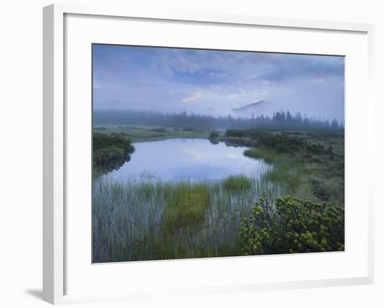 Sunrise in the Nature Reserve Siebenmšser, KitzbŸhel Alps, Moor, Hochkrimml, Gerlosplatte-Rainer Mirau-Framed Photographic Print