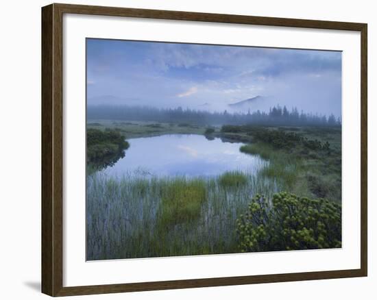 Sunrise in the Nature Reserve Siebenmšser, KitzbŸhel Alps, Moor, Hochkrimml, Gerlosplatte-Rainer Mirau-Framed Photographic Print