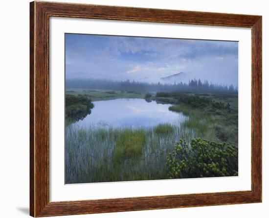 Sunrise in the Nature Reserve Siebenmšser, KitzbŸhel Alps, Moor, Hochkrimml, Gerlosplatte-Rainer Mirau-Framed Photographic Print