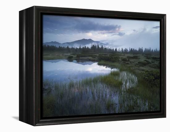 Sunrise in the Nature Reserve Siebenmšser, KitzbŸhel Alps, Moor, Hochkrimml, Gerlosplatte-Rainer Mirau-Framed Premier Image Canvas