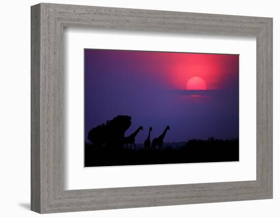 Sunrise in Uganda-Nicolás Merino-Framed Photographic Print