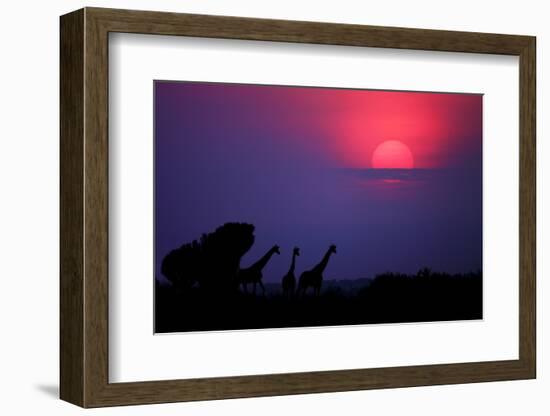 Sunrise in Uganda-Nicolás Merino-Framed Photographic Print