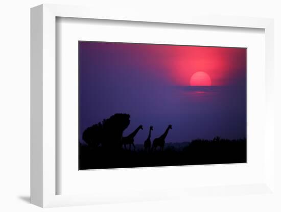 Sunrise in Uganda-Nicolás Merino-Framed Photographic Print