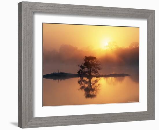 Sunrise, Kruger National Park, South Africa, Africa-Ann & Steve Toon-Framed Photographic Print