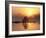 Sunrise, Kruger National Park, South Africa, Africa-Ann & Steve Toon-Framed Photographic Print