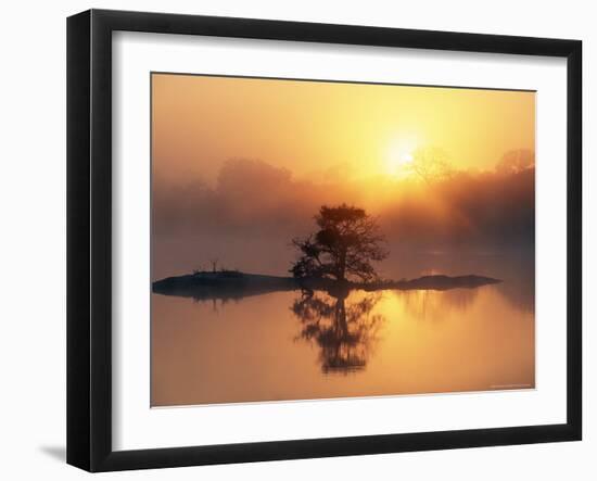 Sunrise, Kruger National Park, South Africa, Africa-Ann & Steve Toon-Framed Photographic Print