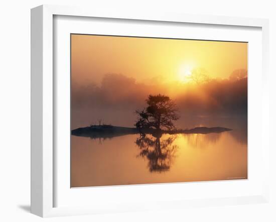 Sunrise, Kruger National Park, South Africa, Africa-Ann & Steve Toon-Framed Photographic Print