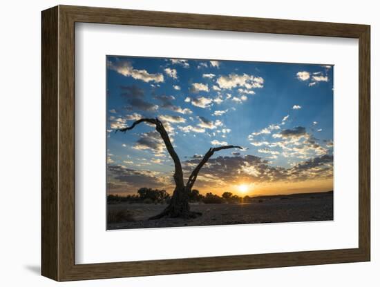 Sunrise Landscape in Sossusvlei, Namibia, July 2014-Wim van den Heever-Framed Photographic Print