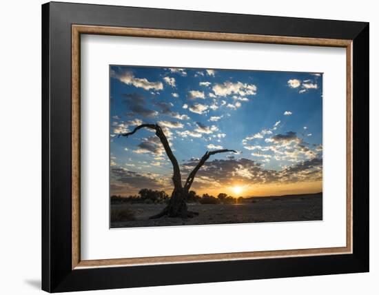 Sunrise Landscape in Sossusvlei, Namibia, July 2014-Wim van den Heever-Framed Photographic Print