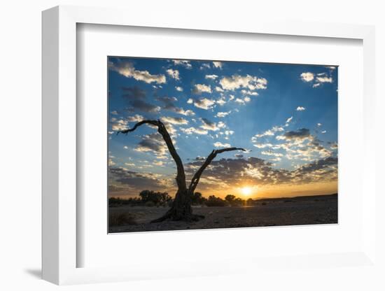 Sunrise Landscape in Sossusvlei, Namibia, July 2014-Wim van den Heever-Framed Photographic Print